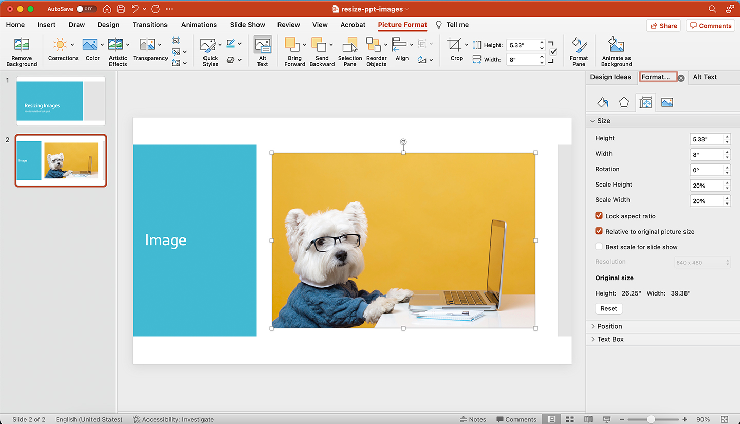2Minute Tips Resize Images in PowerPoint the Right Way Leslie